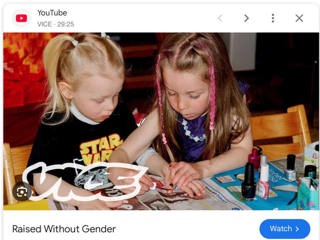 The implications of genderless&nbsp;child-rearing